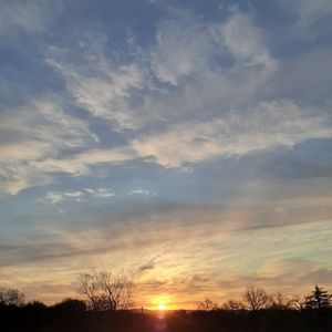 Meet your Posher, Cecile